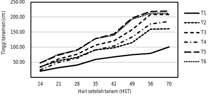 Tabel 2. Tinggi tanaman dan jumlah daun jagung varietas hibrida varietas P27 pada saat panen, KP Tamanbogo, Lampung, MH 2014.
