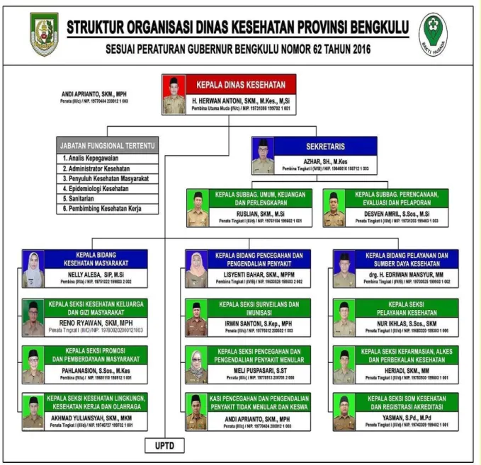 Gambar 1.1  Struktur Organisasi Dinas Kesehatan Provinsi     Bengkulu Tahun 2020 