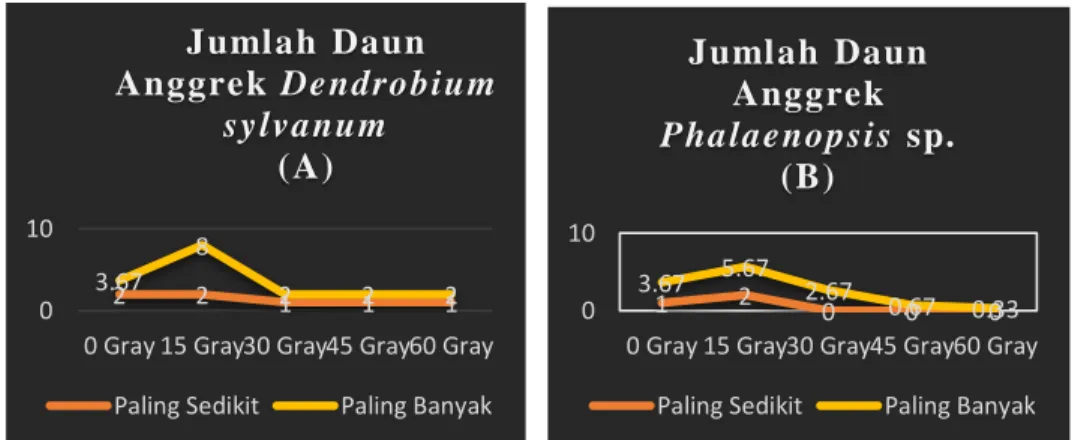 Gambar 4 (a). Pertambahan Jumlah Daun Anggrek D. sylvanum       (b). Pertambahan Jumlah Daun Anggrek Phalaenopsis sp
