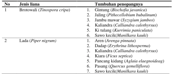 Tabel  2. Jenis  liana  dan tumbuhan penopang pada semua  fase  tumbuhan di  Blok Perlindungan Taman Hutan Raya Wan Abdul Rachman.