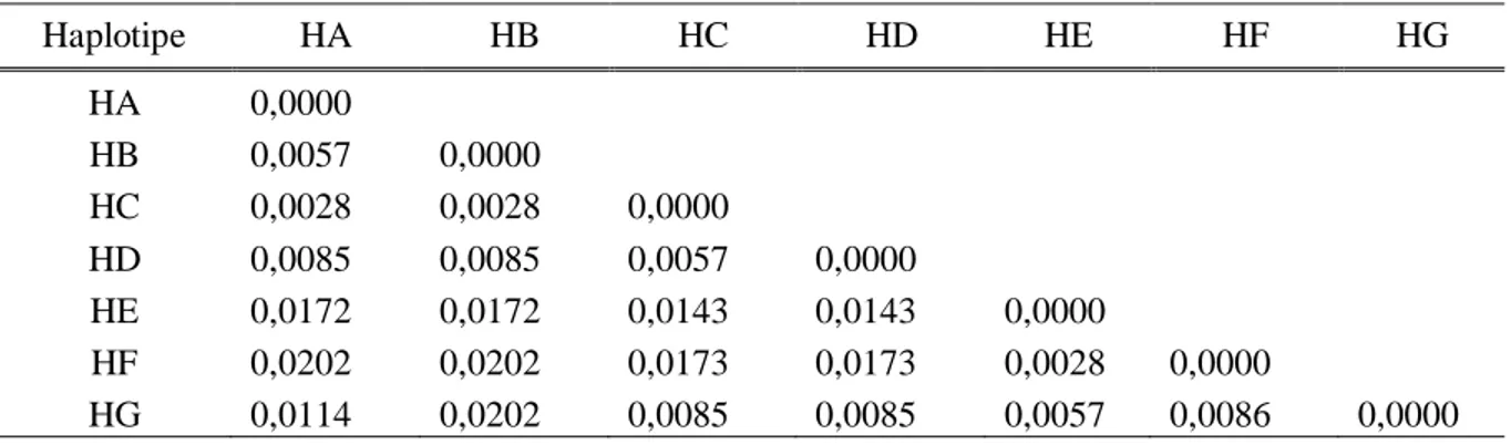 Tabel 2.  Estimasi jarak genetik Chironax melanocephalus dengan metoda Kimura 2-parameter