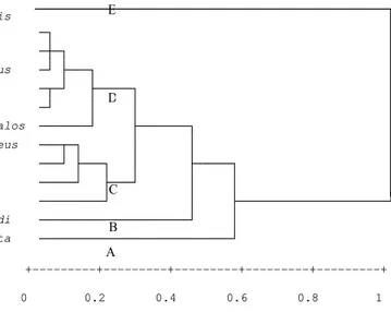 Gambar 3. Dendogram ketidaksamaan Euclidean jenis kelelawar