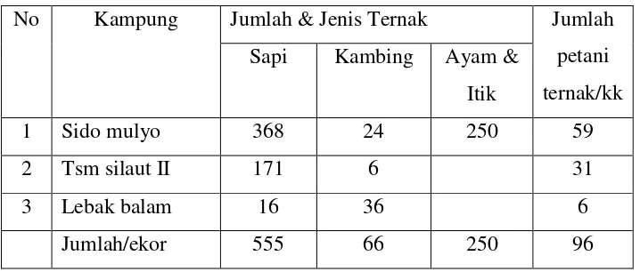 Tabel 3.1 Data petani ternak  & jumlah ternak Nagari Talang binjai 
