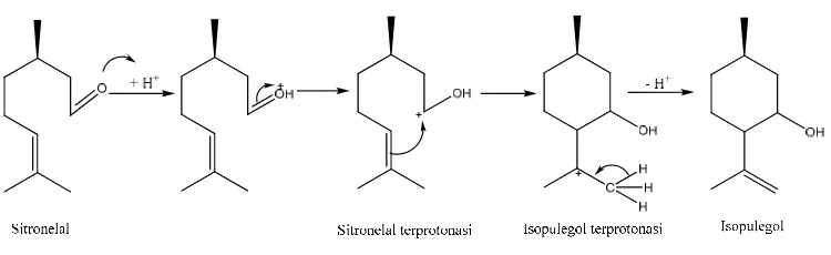 Gambar 2.5 Mekanisme siklisasi sitronelal menjadi isopulegol 