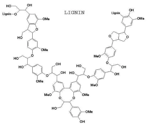 Gambar 2.6 Struktur Molekul Lignin (Asror, K.2017) 