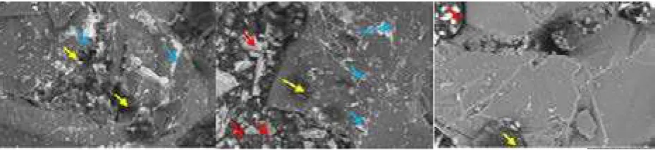 Figure 5. Description of the SEM results of 2000 x magniication. (A) Group I; (B) Group II; (c) Group III