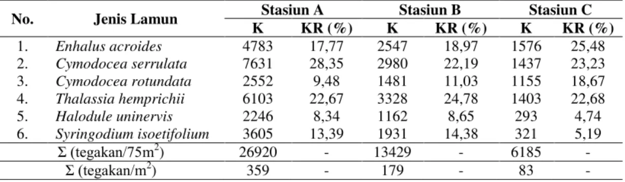 Tabel 3. Kelimpahan Echinodermata pada Stasiun yang Berbeda 