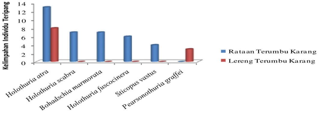 Gambar 2. Histogram Kelimpahan Teripang (Holothuroidea) 