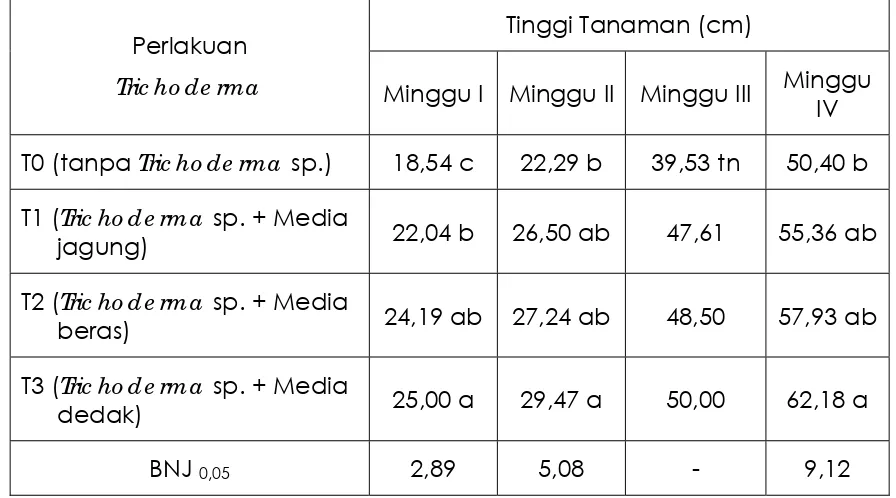 Tabel 1. Rata-Rata Tinggi Tanaman Tomat Umur 1, 2, 3, dan 4 Minggu Setelah Aplikasi (MSA) yang Diberi Perlakuan Tric ho de rma sp
