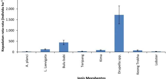 Gambar 13.  Kepadatan rata-rata setiap jenis atau kelompok jenis megabentos di perairan Ternate  dan sekitarnya pada tahun 2012–2018 