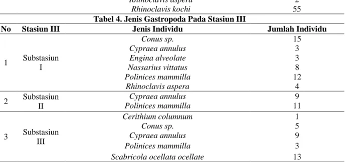 Tabel 4. Jenis Gastropoda Pada Stasiun III 