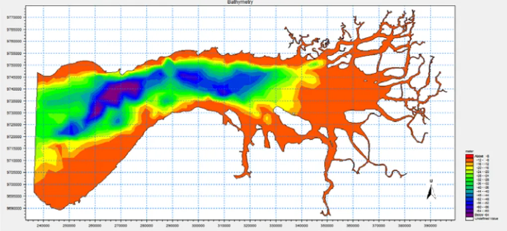 Gambar 4.2 Model Batimetri Perairan Teluk Bintuni 4.2  Pemodelan Hidrodinamika 