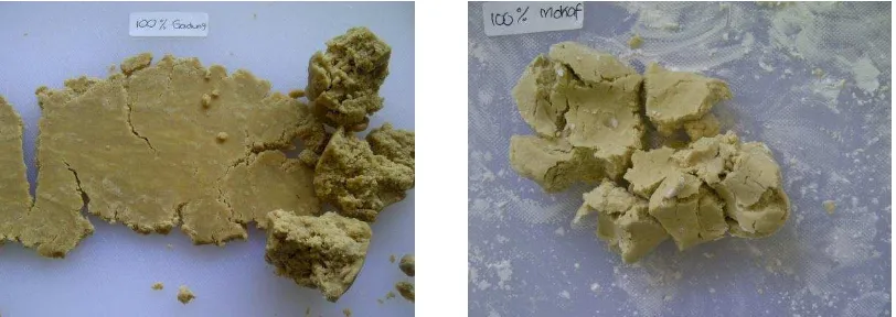 Gambar 3. Adonan yang Terbuat dari 100% Tepung Gadung (Kiri) dan 100% Mocaf (Kanan) 