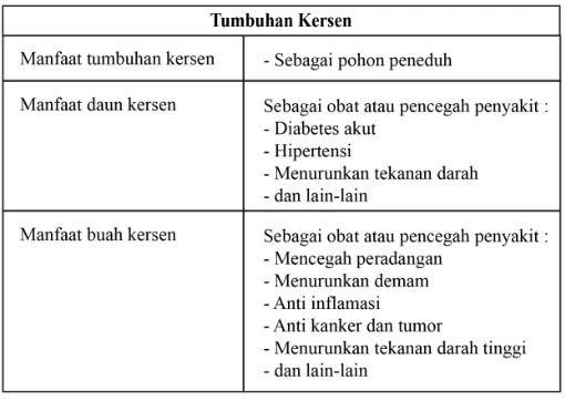 Tabel II.4 Manfaat tumbuhan kersen 