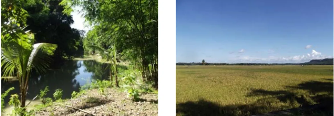 Gambar 4.  Sungai Unyi dan hamparan sawahnya di Dusun Satu Polijiwa, DesaPakasalo,  Kecamataan Duaboccoe, Kabupaten Bone 