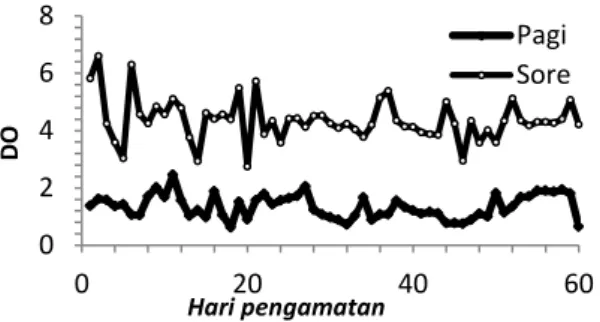 Gambar 3. Grafik fluktuasi DO