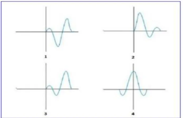 Gambar 2.5 Jenis-jenis wavelet berdasarkan konsentrasi energinya, yaitu mixed phase wavelet  (1), minimum phase wavelet (2), maximum phase wavelet (3), dan zero phase wavelet (4) 