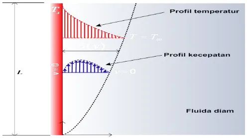 Gambar 2.6 Konveksi natural plat vertikal yang panas(Himsar AMBARITA 2011) 