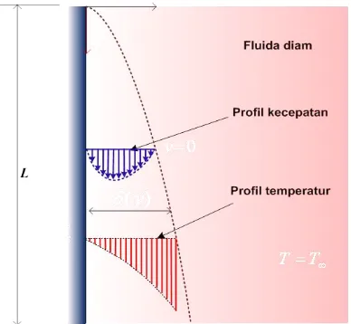 Gambar 2.7 Konveksi natural plat vertikal yang dingn(Himsar AMBARITA 2011) 