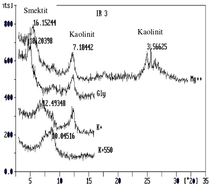 Gambar 3. Kurva analisis sinar - X fraksi liat pedon IR3/Bt1 (semak)  