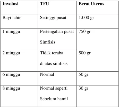 Tabel 2.1  Tabel 2.1 Involusi Uterus 
