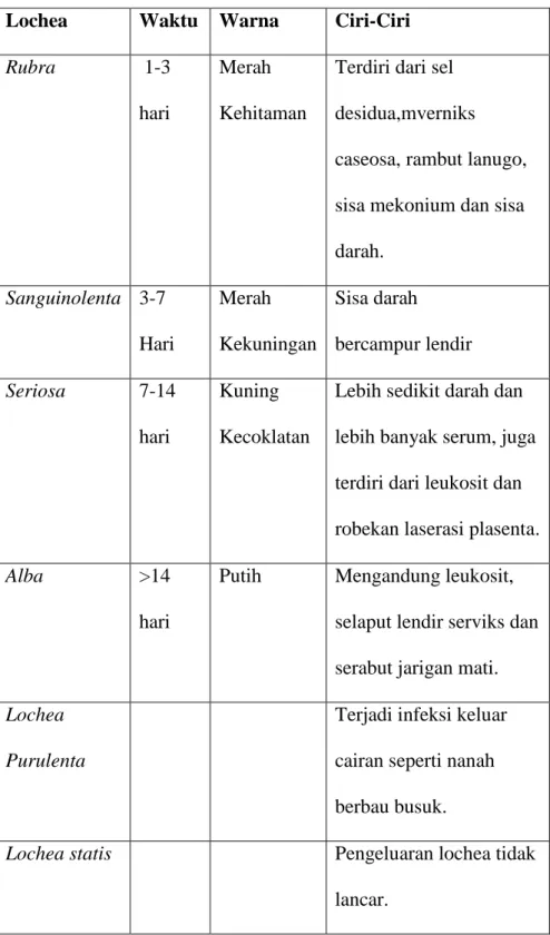 Tabel 2.2 Macam-macam Lochea 