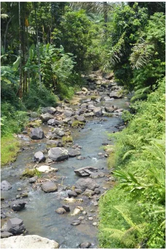 Gambar 2.8.  Kondisi sungai di kawasan survey Pancur Batu 