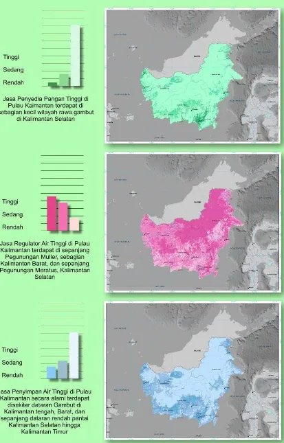 Gambar 2.19 Peta Indikasi Jasa Lingkungan Utama di Ekoregion Kalimantan
