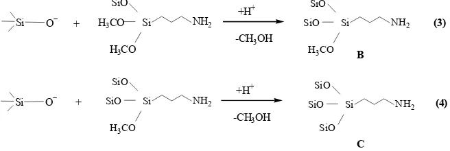 Gambar 3  Model reaksi pembentukan HAS. 