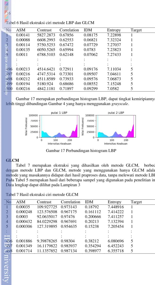 Tabel 6 Hasil ekstraksi ciri metode LBP dan GLCM 