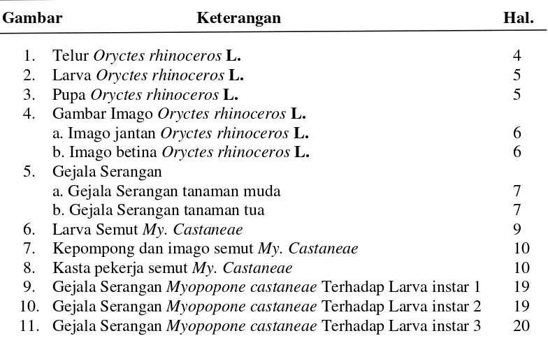 Gambar                                Keterangan                                                     Hal