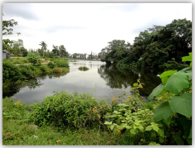 Gambar 5. Taman Rekreasi yang ada Kawasan Hutan Kota Cadika  