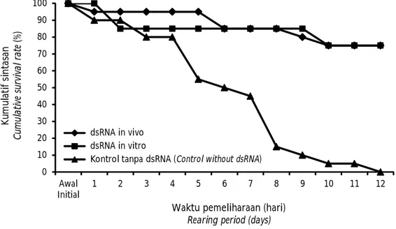 Gambar 2. Kumulatif  sintasan  udang  windu  yang  diberi  dsRNA  VP-15  in  vitro  dan  in vivopasca uji tantang dengan WSSV.