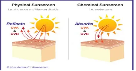 Gambar 2.5 Mekanisme kerja sunscreen (www.dermae.com).  