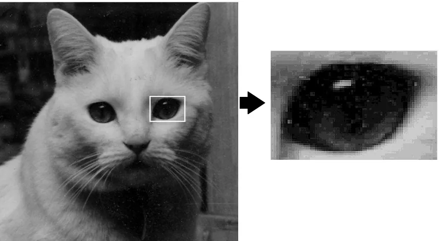 Gambar 1.4. Raster Graphics (kiri) Objek kucing dengan ukuran asli (kanan) Objek mata kucing yang 