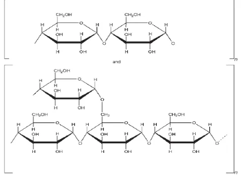 Gambar 2.1 Rumus struktur maltodekstrin (Rowe, dkk., 2009) 