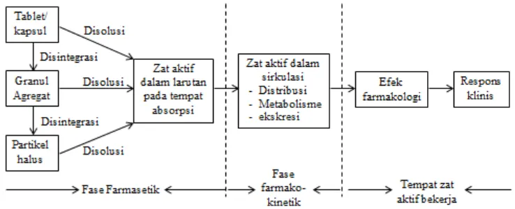 Gambar 2.3 Bagan proses disolusi hingga respons klinis suatu zat aktif dari sediaan tablet atau kaplet 