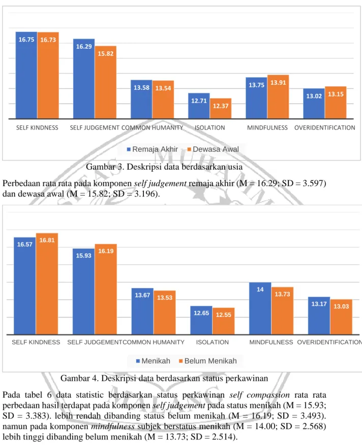 Gambar 3. Deskripsi data berdasarkan usia 