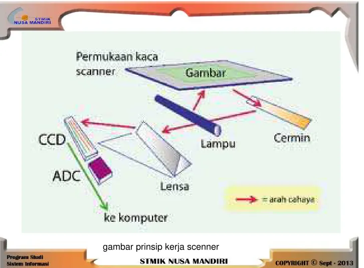 gambar prinsip kerja scenner