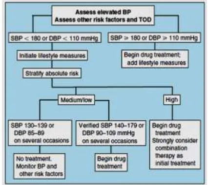 Gambar 5. Penatalaksanaan pasien hipertensi setelah pemberian obat antihipertensi.9 