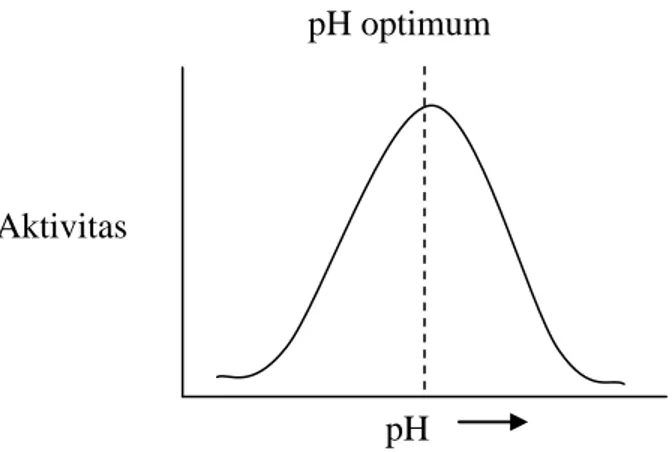 Gambar 2. Hubungan kecepatan reaksi dengan pH (Page, 1997). pH optimum pH Aktivitas Enzim Suhu  Aktivitas Enzim 