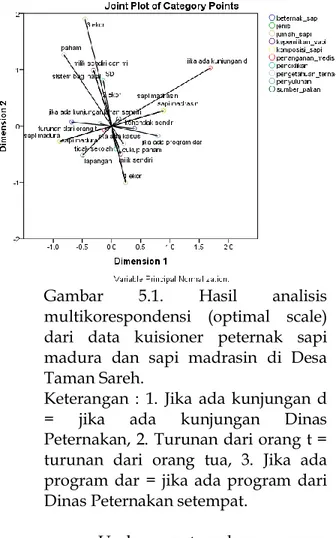Gambar  5.1.  Hasil  analisis  multikorespondensi  (optimal  scale)  dari  data  kuisioner  peternak  sapi  madura  dan  sapi  madrasin  di  Desa  Taman Sareh