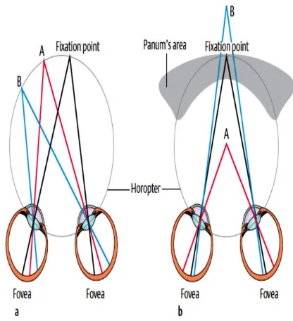 Gambar 3. a. Horopter geometrik. Objek A dan B terletak pada horopter geometrik oleh karena itu diproyeksikan ke titik-titik yang berkorespondensi pada retina