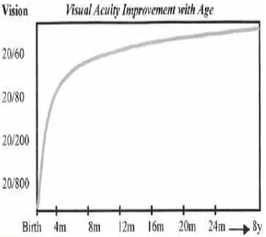 Gambar 5. Kurva di atas menampilkan peningkatan eksponensial pada ketajaman visual sewaktu periode kritis dari perkembangan visual (dari lahir hingga 3 bulan).18 