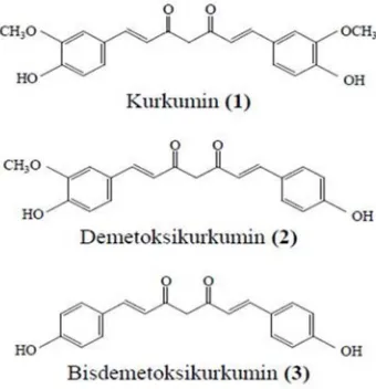 Gambar 2.1 Struktur Kurkuminoid (Aggarwal, 2007) 