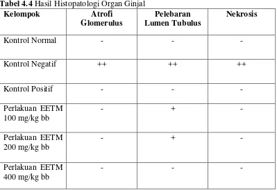 Tabel 4.4 Hasil Histopatologi Organ Ginjal 