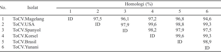 Tabel 6. Persentase kesamaan basa nukleotida dari gen RNA2 isolat ToCV pada tomat (Lycopersicum esculentum) asalMagelang, Jawa tengah dengan beberapa isolat genus Crinivirus yang berbeda dengan menggunakan programGenetyx