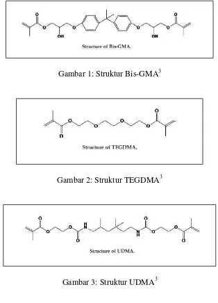 Gambar 1: Struktur Bis-GMA3 