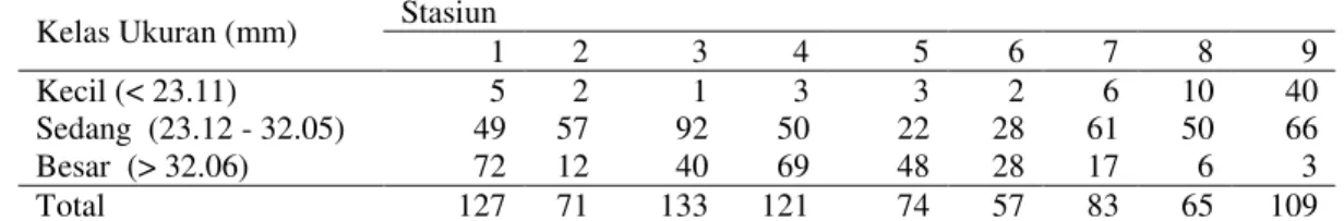 Tabel 3.2  Kepadatan tiap kelas ukuran kerang G. tumidum (individu/10 m 2 ) 