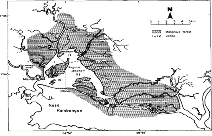 Gambar 1. Mangrove di Daerah Aliran Sungai Donan Segara Anakan (White dkk., 1989).